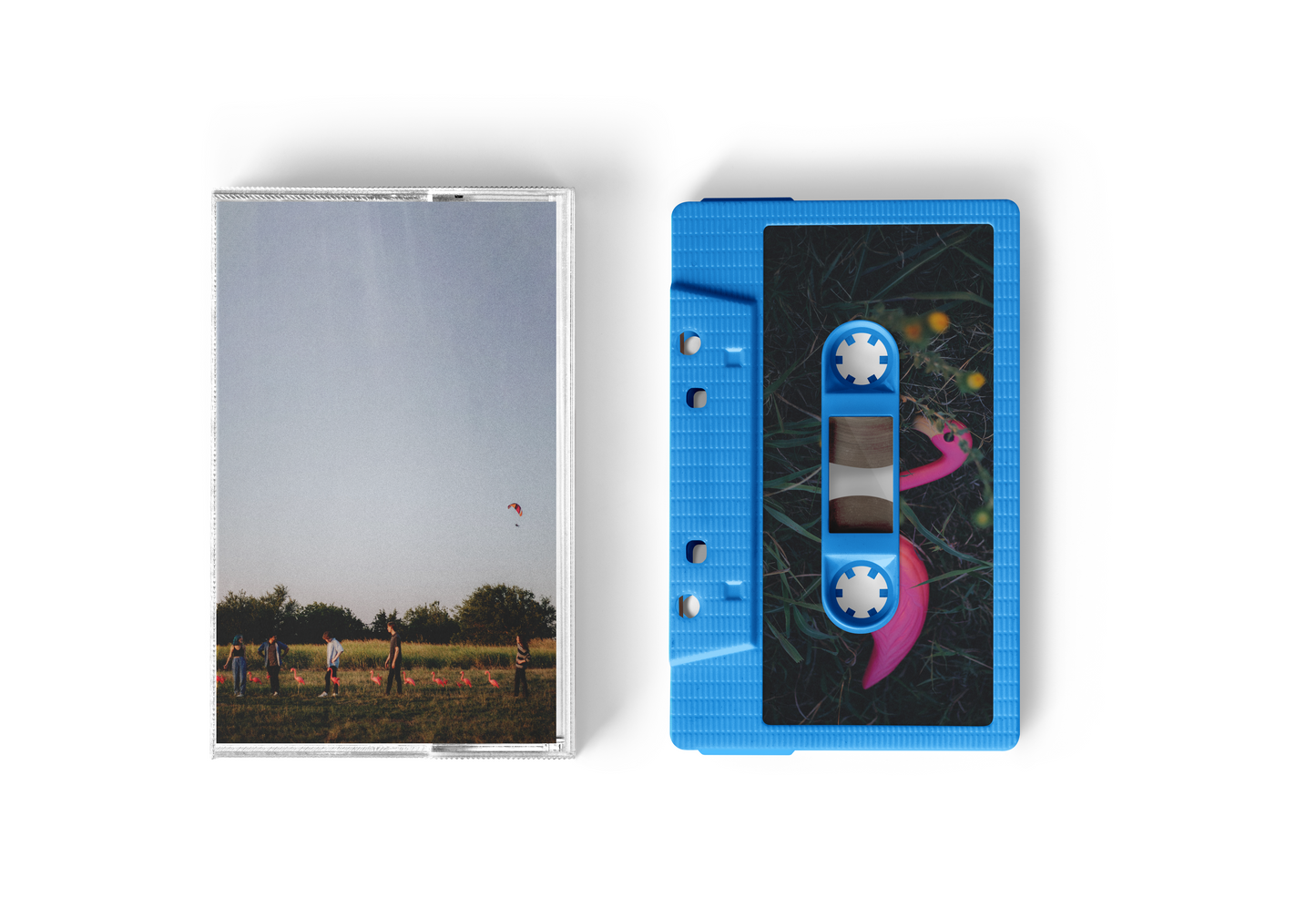 Flamingo Dancing - Cassette