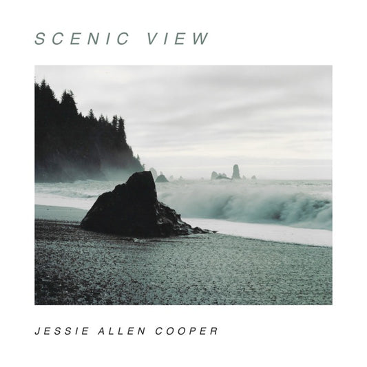 Scenic View - CD